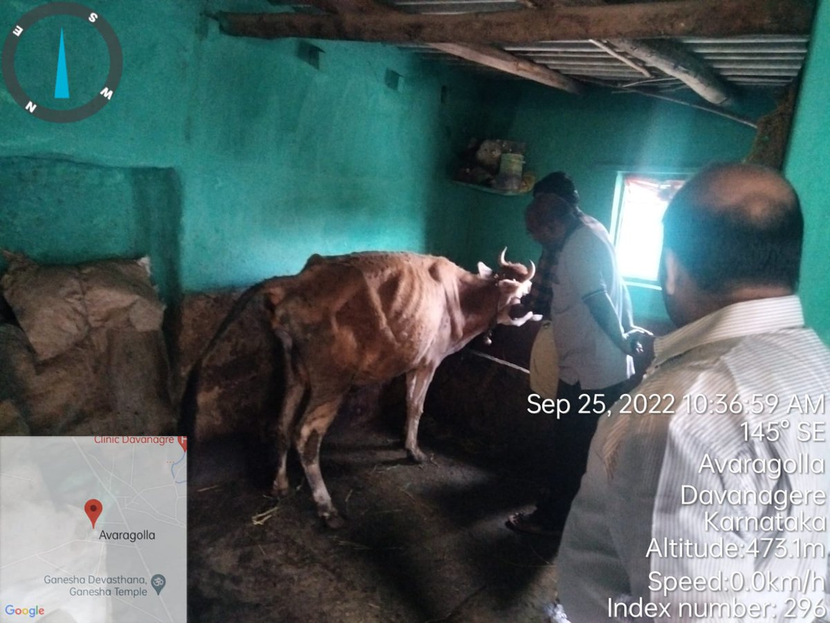 AHVS_Karnataka's tweet photo. ದಿನಾಂಕ : 25/09/2022 ರಂದು ದಾವಣಗೆರೆ ಜಿಲ್ಲೆಯಲ್ಲಿ ಚರ್ಮಗಂಟು ರೋಗದ ಲಕ್ಷಣಗಳು ಕಾಣಿಸಿಕೊಂಡ ಹಿನ್ನೆಲೆಯಲ್ಲಿ ಪಶುಪಾಲನಾ ಮತ್ತು ಪಶುವೈದ್ಯಕೀಯ ಸೇವಾ ಇಲಾಖೆಯ ಮಾನ್ಯ ನಿರ್ದೇಶಕರಾದ ಡಾ. ಮಂಜುನಾಥ್ ಎಸ್ ಪಾಳೇಗಾರ್, ಡಾ. ಚಂದ್ರಶೇಖರ್ ಸುಂಕದ್, ಉಪ ನಿರ್ದೇಶಕರು (ಆಡಳಿತ),(1/2)
#Davangere #LSDawareness https://t.co/BE7AYebtzN