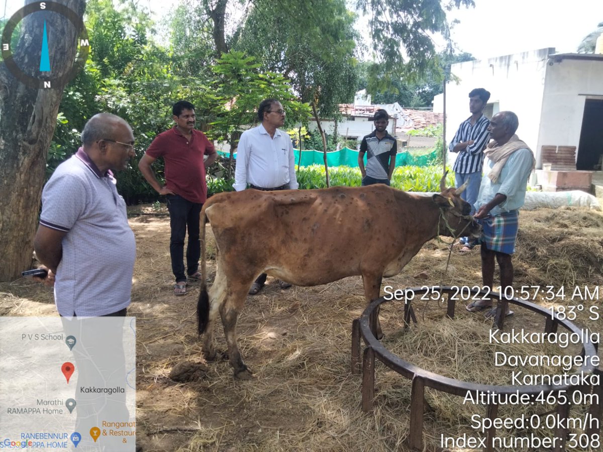 AHVS_Karnataka's tweet photo. ದಿನಾಂಕ : 25/09/2022 ರಂದು ದಾವಣಗೆರೆ ಜಿಲ್ಲೆಯಲ್ಲಿ ಚರ್ಮಗಂಟು ರೋಗದ ಲಕ್ಷಣಗಳು ಕಾಣಿಸಿಕೊಂಡ ಹಿನ್ನೆಲೆಯಲ್ಲಿ ಪಶುಪಾಲನಾ ಮತ್ತು ಪಶುವೈದ್ಯಕೀಯ ಸೇವಾ ಇಲಾಖೆಯ ಮಾನ್ಯ ನಿರ್ದೇಶಕರಾದ ಡಾ. ಮಂಜುನಾಥ್ ಎಸ್ ಪಾಳೇಗಾರ್, ಡಾ. ಚಂದ್ರಶೇಖರ್ ಸುಂಕದ್, ಉಪ ನಿರ್ದೇಶಕರು (ಆಡಳಿತ),(1/2)
#Davangere #LSDawareness https://t.co/BE7AYebtzN