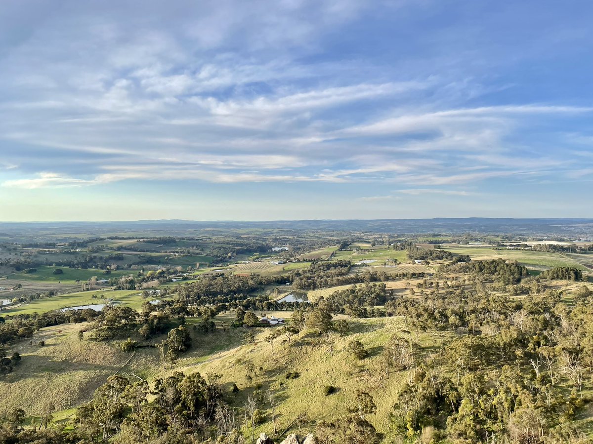 Mollie Gorman tweet media