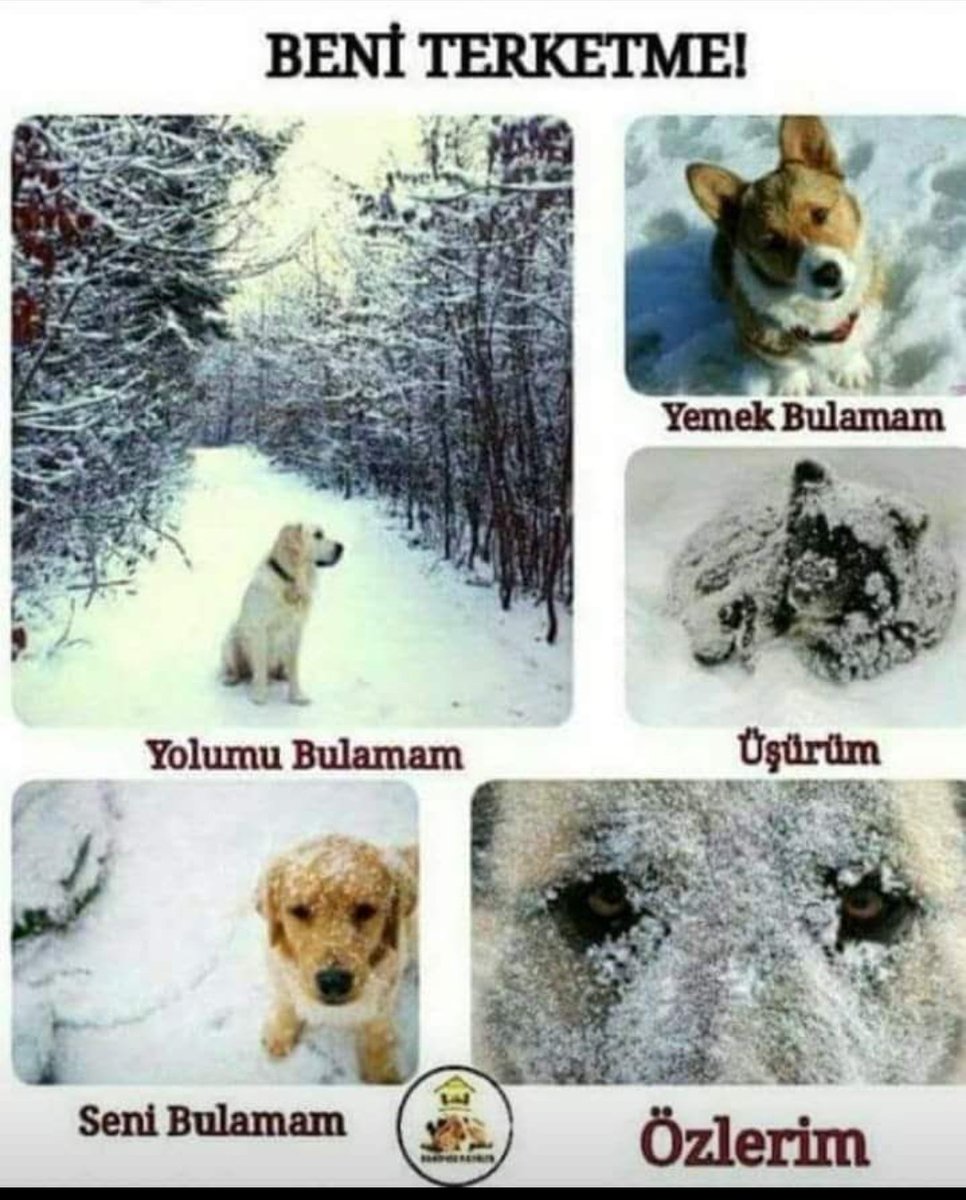 Lütfen çok RT...🙏🐕🐈🙏💙💖