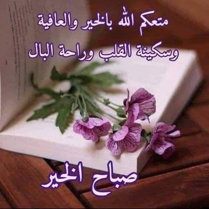 Foad14879800's tweet photo. @HananSbaih1 https://t.co/Nb3vMkqWvs