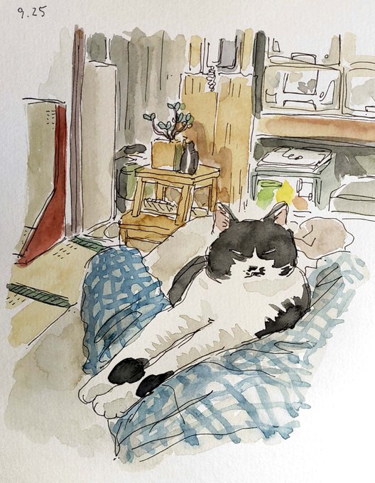 かつての朝#illustration  #cat 