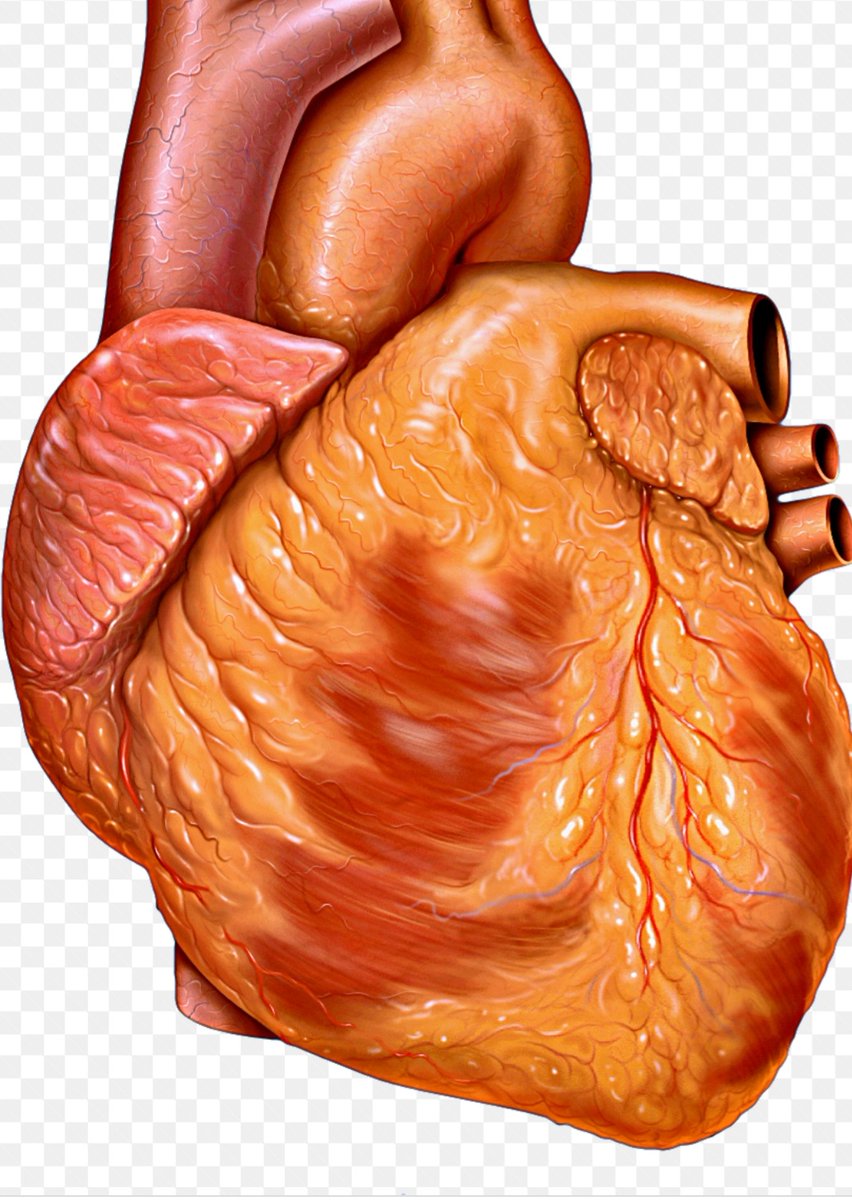 Recognise Heart failure early in Stages A and B especially if you hypertension and Diabetes and you have shortness of breath or feeling tired for no obvious reason .New tests are available to diagnose the condition early and new tablets are available to treat