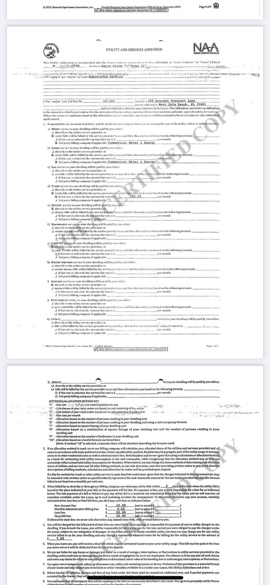 Comedian Trina B. (@comedian_b) on Twitter photo 