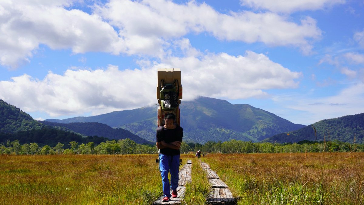 0:00
青空広がる尾瀬国立公園☺️
天より高く。