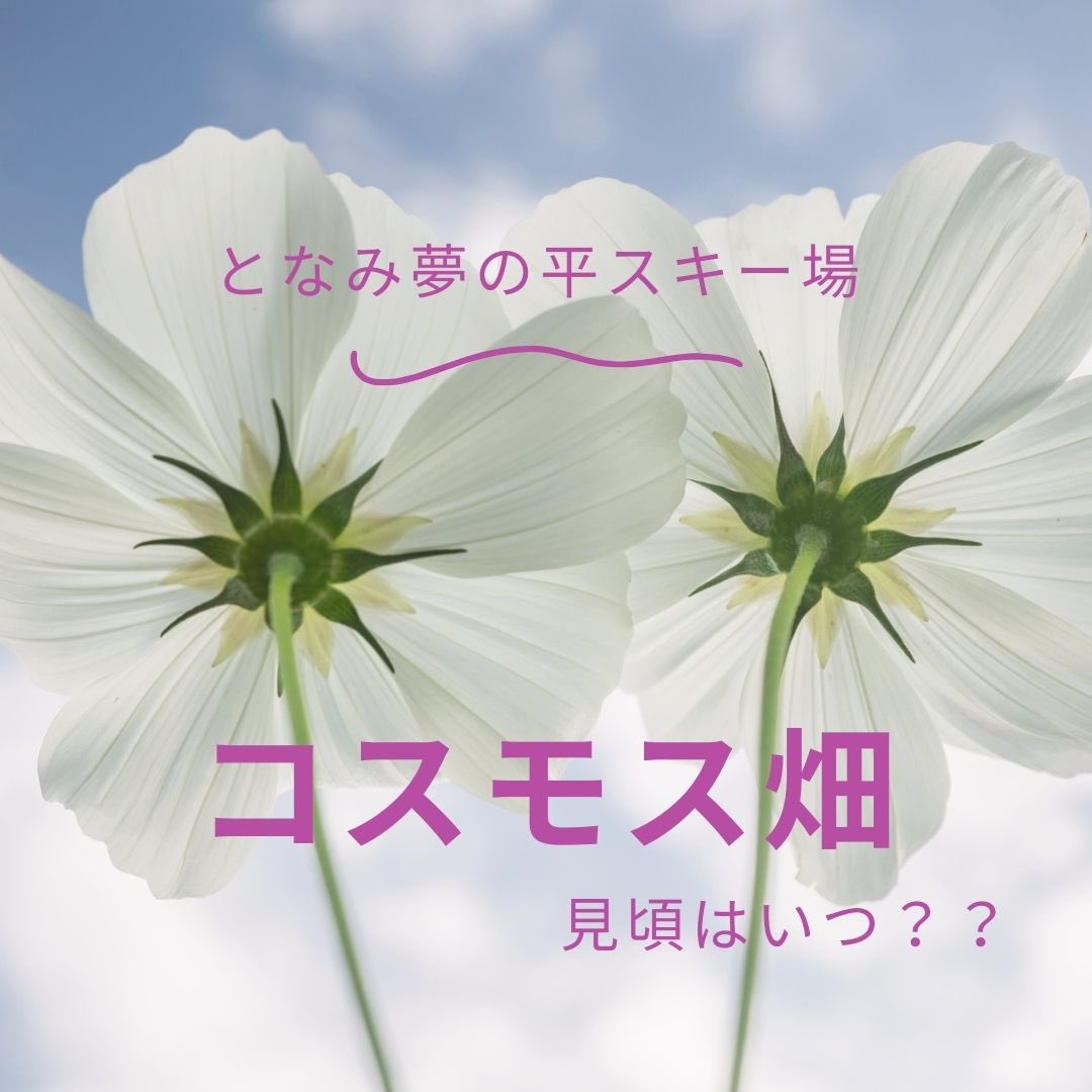 砺波市 Twitter 搜尋 Twitter