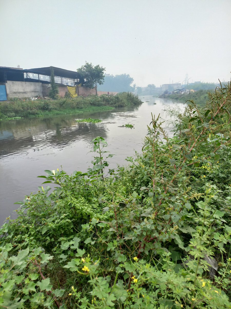 Lakhanpal1Cm's tweet photo. Nature has been kind to clean the muck .... When are we ??? #FreedomFromPollution #FreedomFromCancer #StopPollutingSubsoilAndSurfaceWater #StopPollutingBuddhaDaryaAndRiverSatluj #StopPollutingAir #SavePunjab #malbros @BhagwantMann @CMOPb @moefcc @CleanAirPunjab @Warriormomsin https://t.co/SiFwbbyz7x