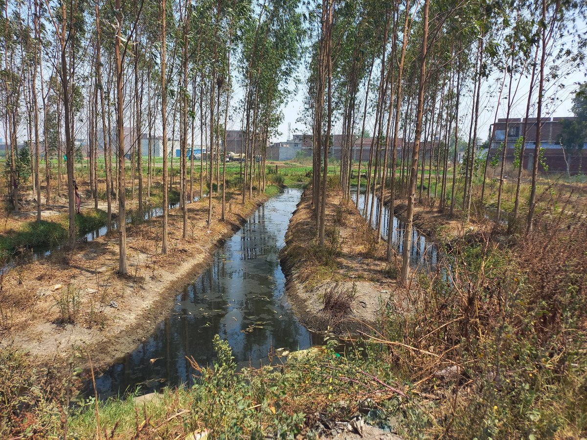Lakhanpal1Cm's tweet photo. Nature has been kind to clean the muck .... When are we ??? #FreedomFromPollution #FreedomFromCancer #StopPollutingSubsoilAndSurfaceWater #StopPollutingBuddhaDaryaAndRiverSatluj #StopPollutingAir #SavePunjab #malbros @BhagwantMann @CMOPb @moefcc @CleanAirPunjab @Warriormomsin https://t.co/SiFwbbyz7x