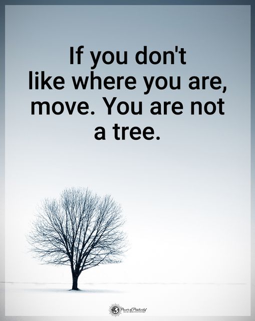 The Mindfulness Meditation Institute tweet media