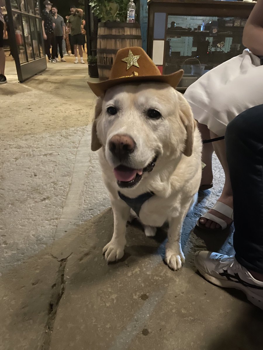 Molly Hiller tweet media