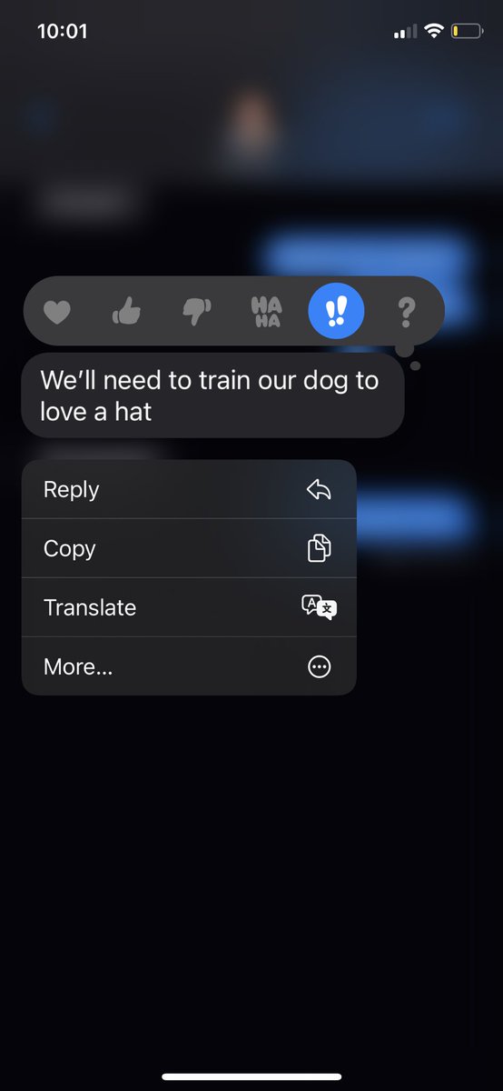 Molly Hiller tweet media