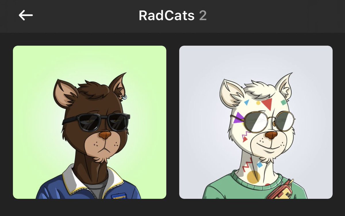KCMontero's tweet photo. I was one of the first 500 to mint a couple @RadCatsNFT .. now waiting patiently for the airdrop . https://t.co/bolHabcf7w