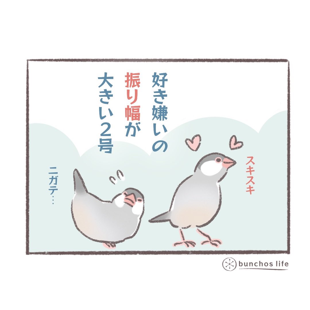 過去作の電子書籍第3弾、0円でダウンロードできます↓↓↓
https://t.co/fyCB17EY5l
#文鳥と書いてカワイイと読む