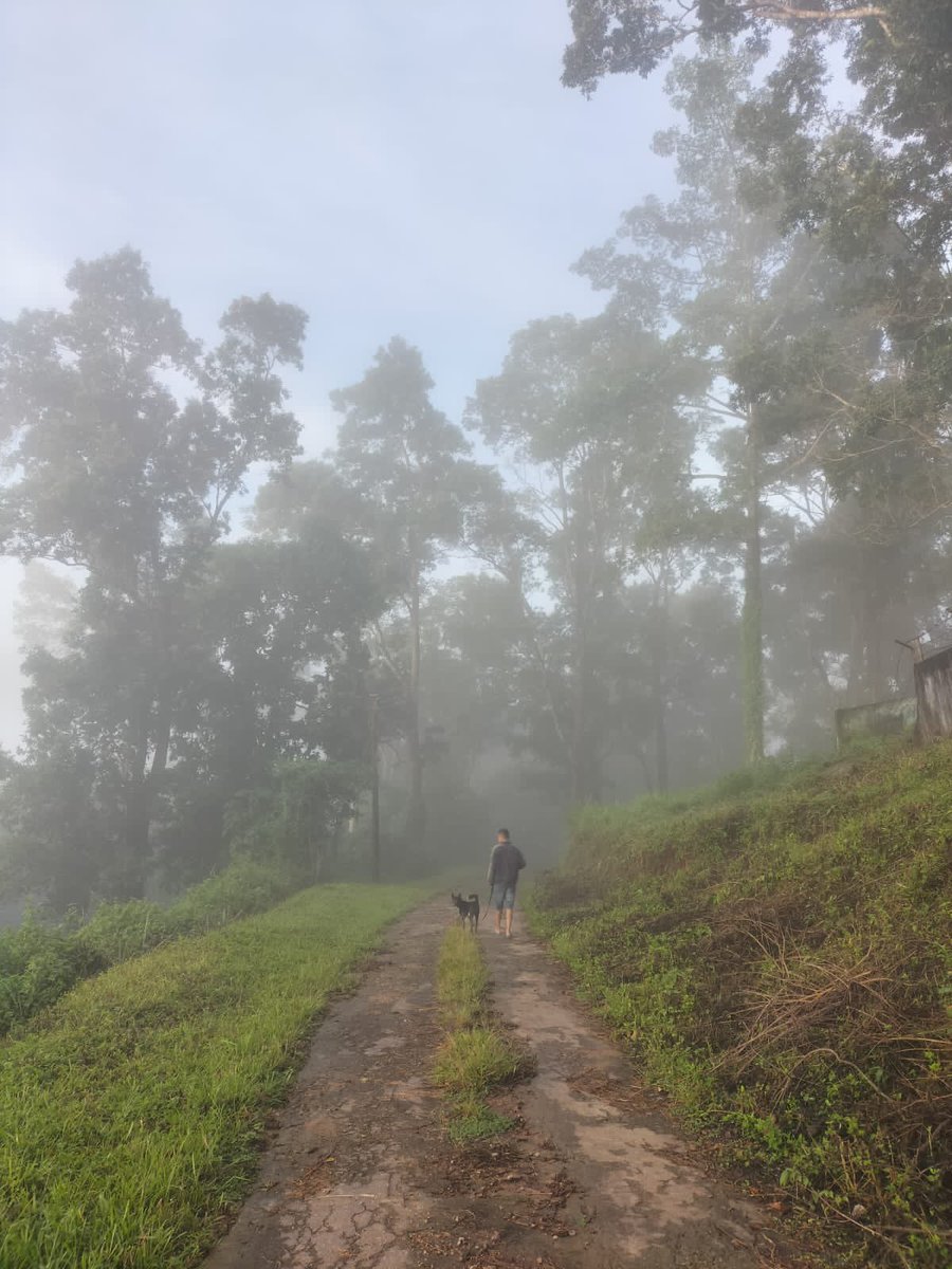 IMNayanBarman's tweet photo. When winter decided to come and creep...
I decided to go out and have a peep...
PC @ToshminaB
#morning #hills #northeastindia #morningwalks #hilllife #earlyriser https://t.co/E1mz3QFV7H