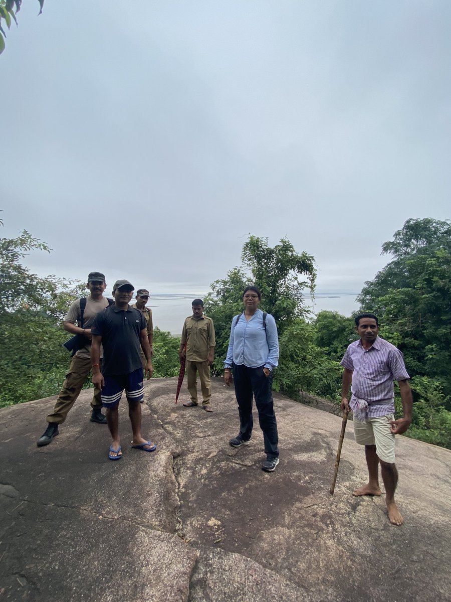 Jayshreenaiding's tweet photo. #ForestersDiary #Todaystrek #PobitoraWildlifeSanctuary https://t.co/FZaT98JOkr