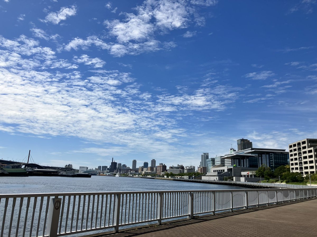 harumakishu_mai's tweet photo. 天気がいいから公園へ
この空の下
高橋優くんの #勿忘草
今日は
青空と海風で泣ける
#私を忘れないで #800thday https://t.co/Cek8uN4oKu