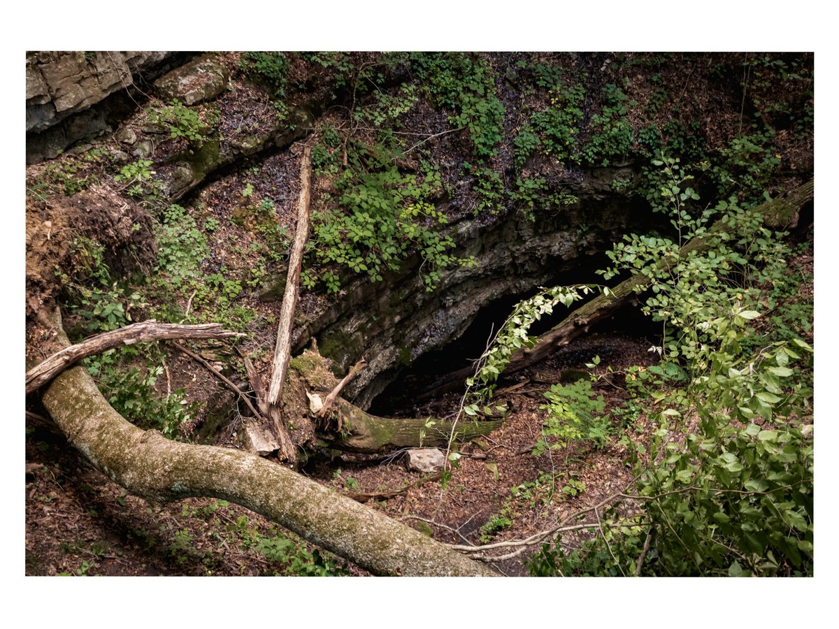 Driftless_Rob's tweet photo. Dixon Cave in Kentucky. 

#landscapephotography #canonphotography #Kentucky #MammothCave https://t.co/BrROoeQV72