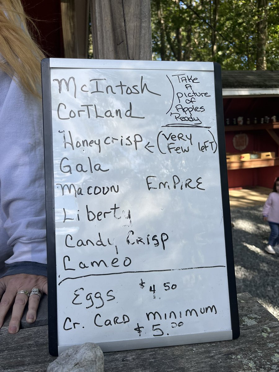 magicsfunny's tweet photo. went to my dads fav place for his birthday dinner ✨ also went apple picking, but couldn’t find any honey crisp :/ and good apple recipes? all i know is i need to make mini apple pies in ramekins 🍎 https://t.co/lWbHgqiAnH