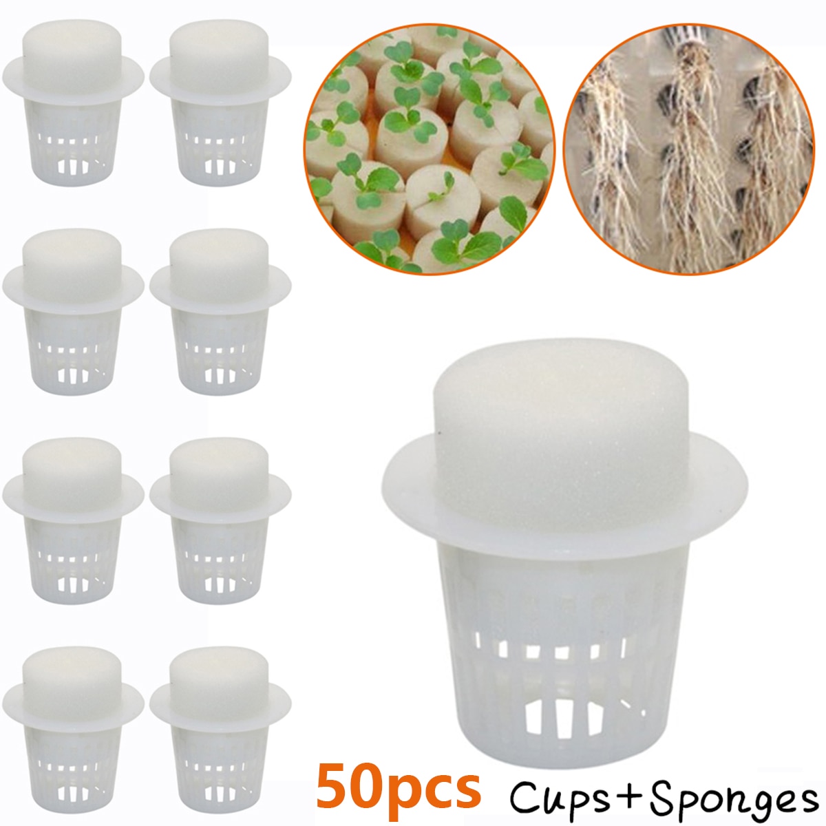 test Twitter Media - 50pcs Nursery Pots Plant Net Cup & 50pcs Cylinders Sponge For Hydroponic Plant Starting Gardening Supplies Garden Accessories $4.40
click>>https://t.co/mKGbIsUW9m
#garden #amazon #aliexpress #rt https://t.co/FkkUnxDjtT