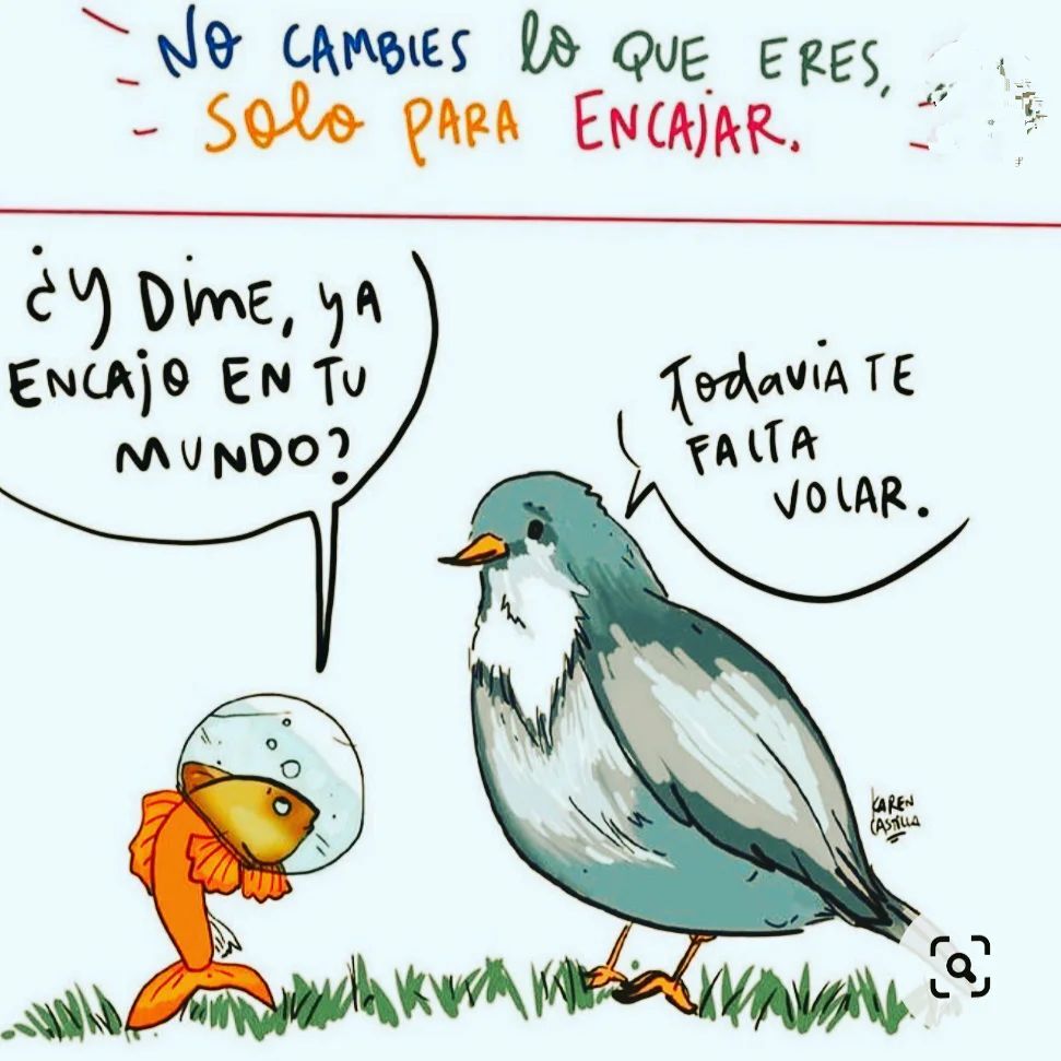Fco Javier Zamora tweet media