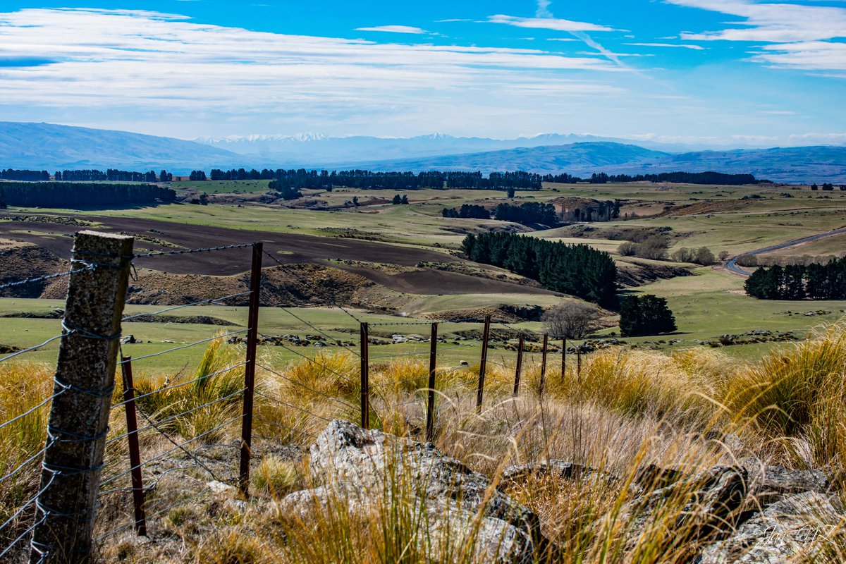 Jan_NewZealand's tweet photo. Middlemarch, the road less travelled ... @WeLoveNZ  
#middlemarch #NZ_roads #newzealand #backyourbackyard #nikonnz #realrawnz #ruralnz https://t.co/tiBLsZmpV8