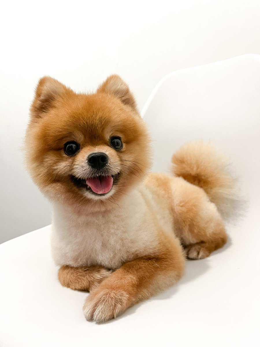 jhoker.nft tweet media