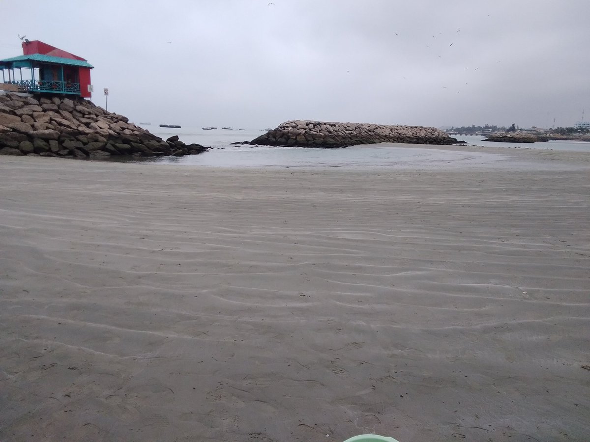 Arcelia964's tweet photo. Estación A La Libertad, monitoreo de ocean travelers para fundaciòn VALVE de Chile y Smithsonian research center. Descubriendo situaciones interesantes sobre epibiontes, organismos que se adhieren a la basura.  @FranklinOrmaza1  @Dome_cp  @aniintriago98 https://t.co/ZTQ315meM0