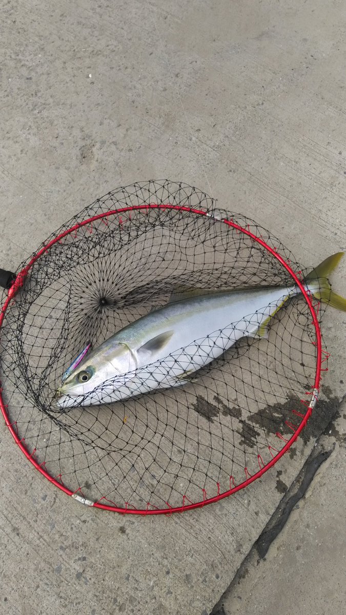 GoSlow1010's tweet photo. よく引いた🎣 https://t.co/ZaoF5cmHa8