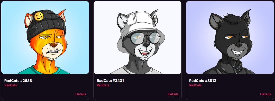 Commancerr's tweet photo. Had way too much fun with the @RadCatsNFT fam on dc tonight so i had to snipe a few more... Who knows, maybe i'm lucky and one of these rads will end up on a nascar and bring me that $10,000 price
#RadCats #SolanaNFTs #RadRacing https://t.co/Uj8Jqimg9O