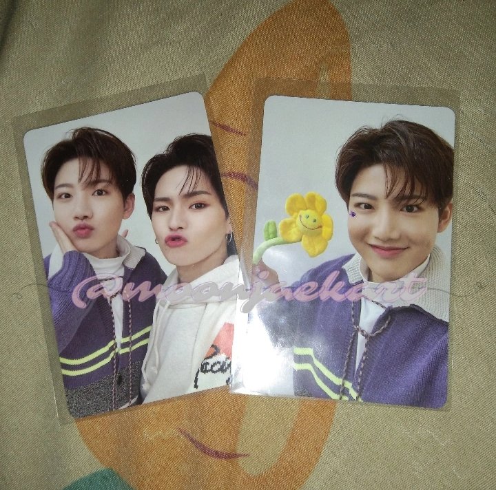 ⋆｡˚ wts lfb [ph only] ˚｡⋆｡ 

★ 250 set
★ good condi
★ mop : gcash
★ mod : sc0 (ggx only)
 mine/dm to claim

🏷 treasure wts junkyu yoshi the second step tss lfb