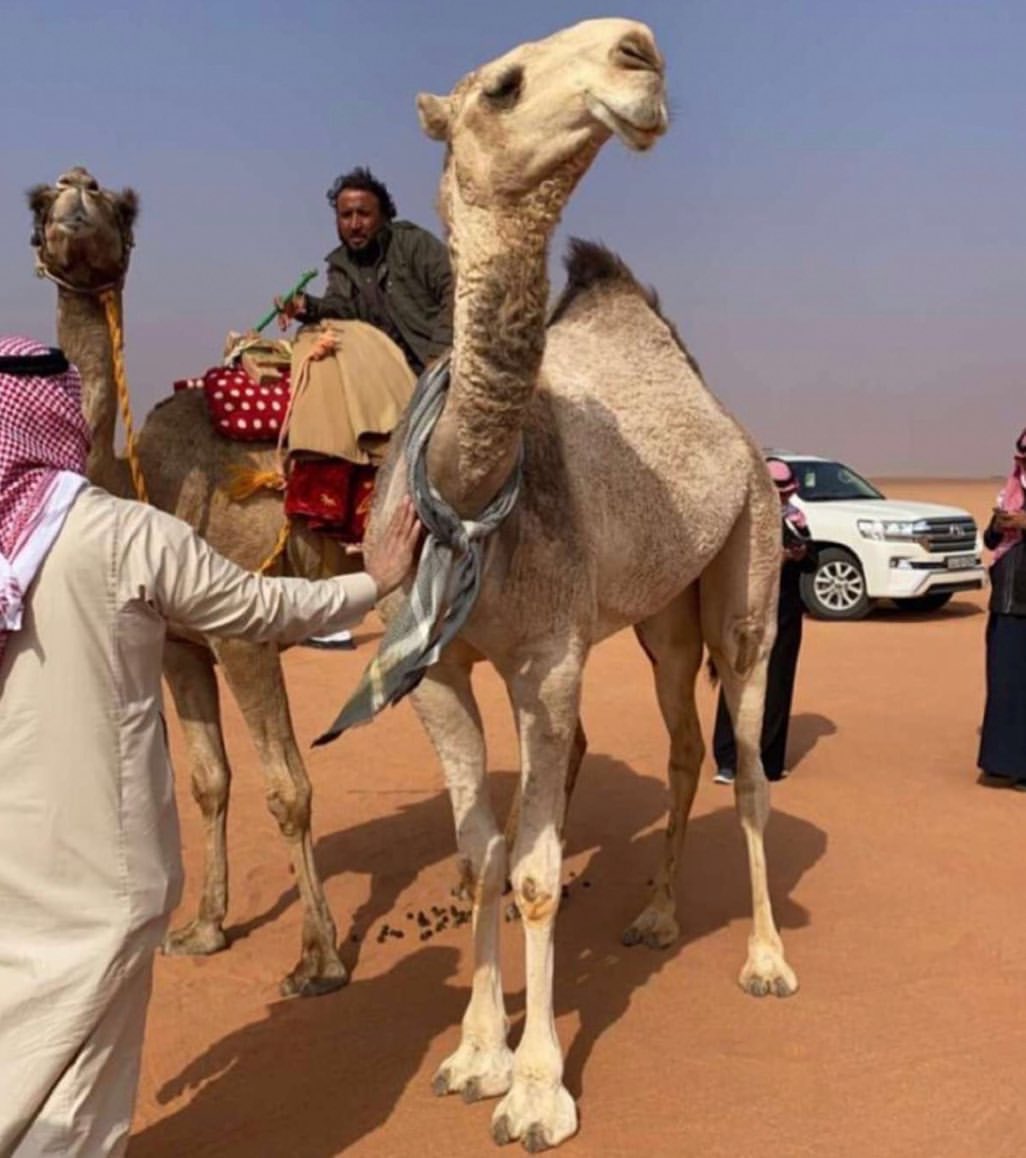 عبدالله بن عوده 🇸🇦 tweet media