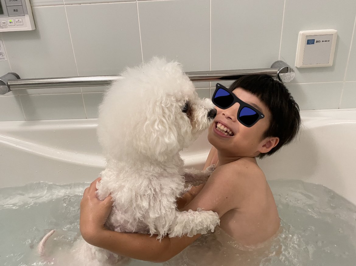 yukimaruuuu4's tweet photo. お風呂に入ってシャンプータイム🛁🐶🤣

さっぱりさっぱり🤙 https://t.co/gEpPQ2e7mR