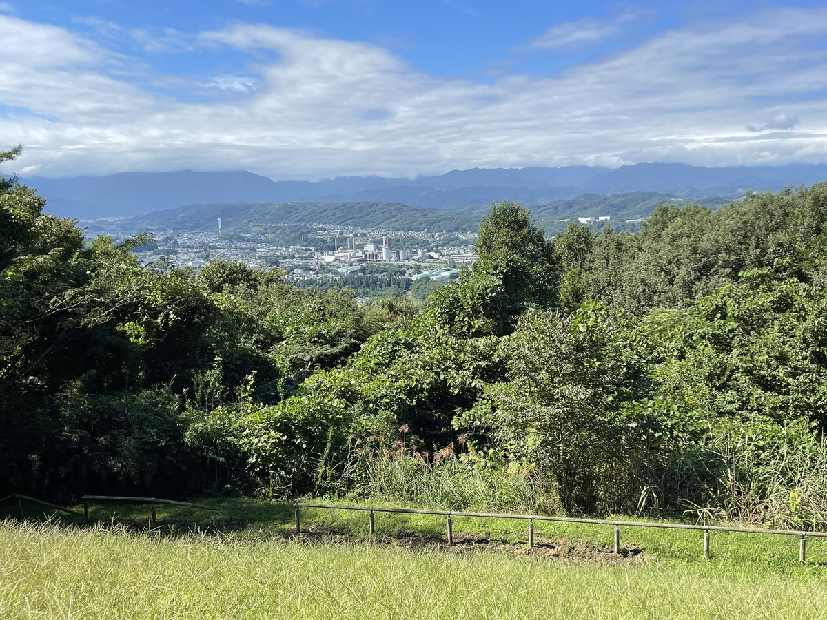 shure😺 (@shure34610484) on Twitter photo 