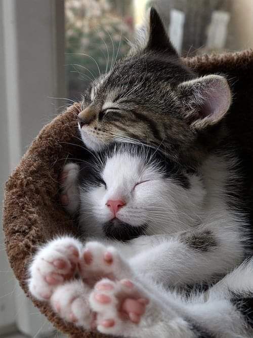 Sabry92249136's tweet photo. E poi capisci che nella vita, quello che conta sono i tuoi affetti, le persone che ti sono vicino e che ti vogliono bene. Quelle che occupano un posto fisso nel tuo cuore.
Tutto il resto, è solo di passaggio. https://t.co/87GBJvjtZl
