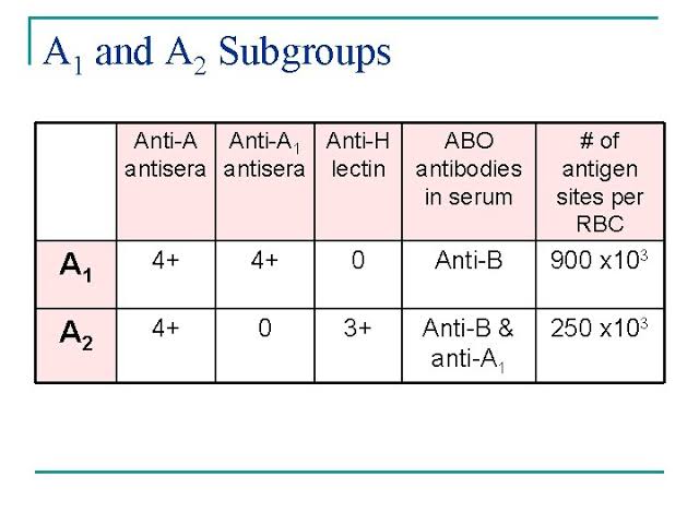 medtechlyfe's tweet photo. SUBGROUPS OF A: A1 VS. A2 📌 #Immunohematology #Bloodbanking #MedtechLife #Medtwt #Studytwt #RMTsoon 🧑🔬🩸📚 https://t.co/tD0lUGkJkr