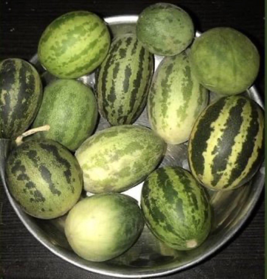 देख बिनोद ! तरबूज़ 🍉 के बदलेमें क्या मिला । 😂😂🤣
#WeWantOPS 
#पुरानी_पेंशन_बहाल_करो 
<a href="/Zee24Kalak/">Zee 24 Kalak</a> 
<a href="/VtvGujarati/">VTV Gujarati News and Beyond</a> 
<a href="/tv9gujarati/">Tv9 Gujarati</a> 
<a href="/abpasmitatv/">ABP Asmita</a>
<a href="/abplive/">ABP LIVE</a>
<a href="/aajtak/">AajTak</a>
#wewantOPSGUJARAT