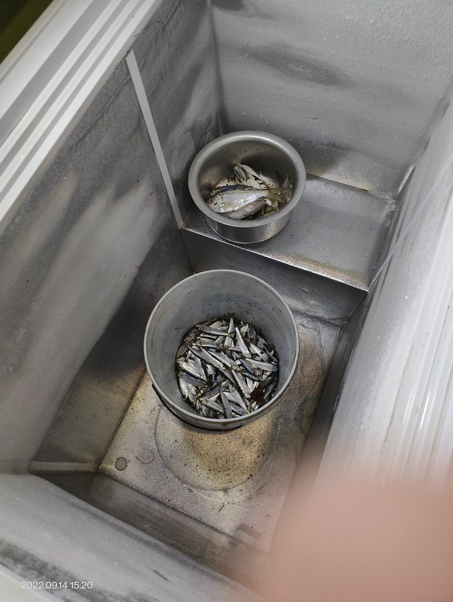 Tushar Devidayal tweet media