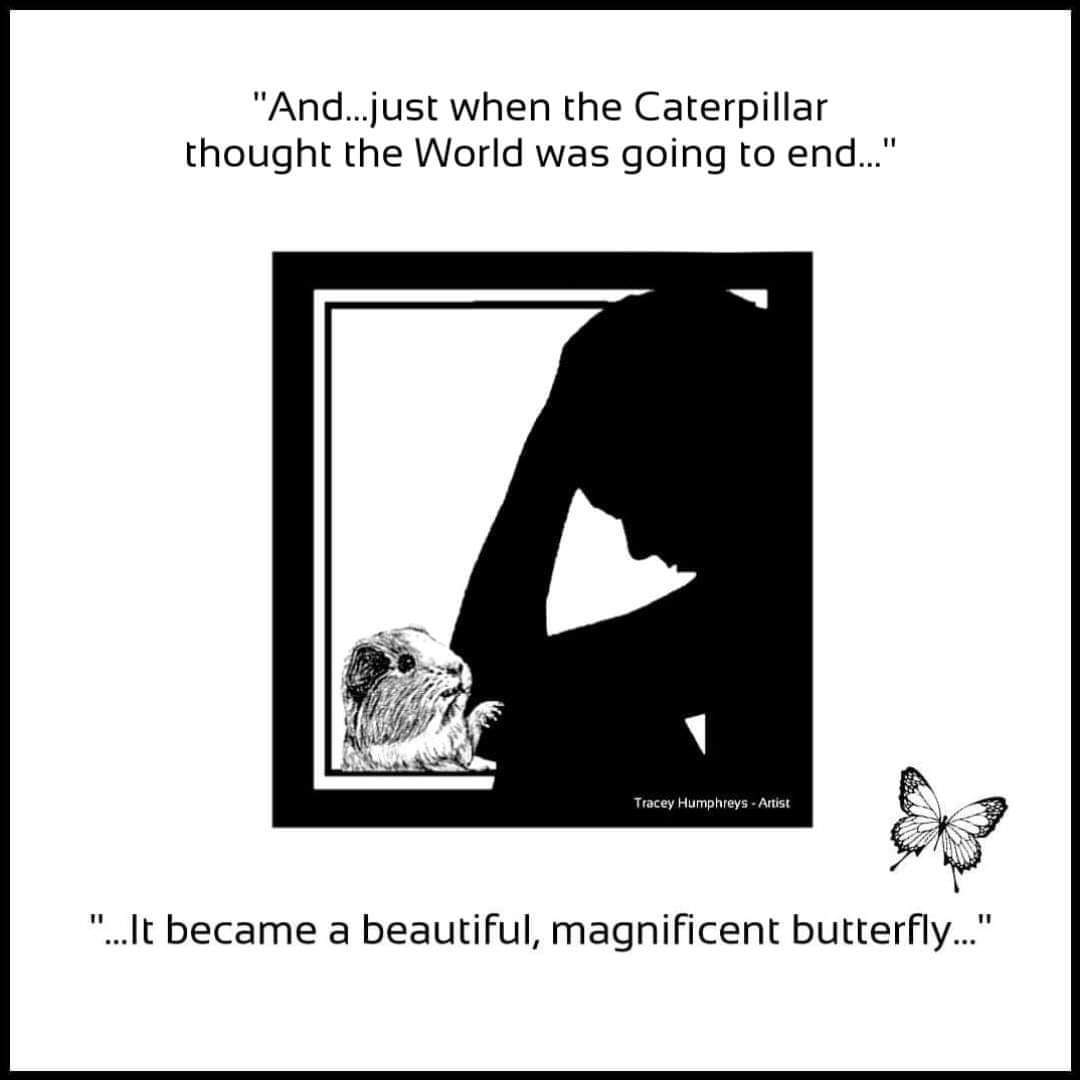 DivittL's tweet image. 