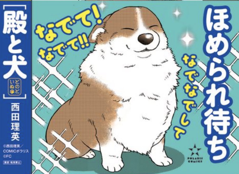 コーギー犬のかわいさ ぎゅぎゅっと詰まってます🥰 \ 癒される〜 / 『#殿と犬』コミックス①集 できたて発売中〜🐶🐯✨ 👇試し読み https://unofficialbird.com/i/events/1564851067829231617?s=20 🆕書店特典 comic-polaris.jp/polaris_com… 🆙amazon