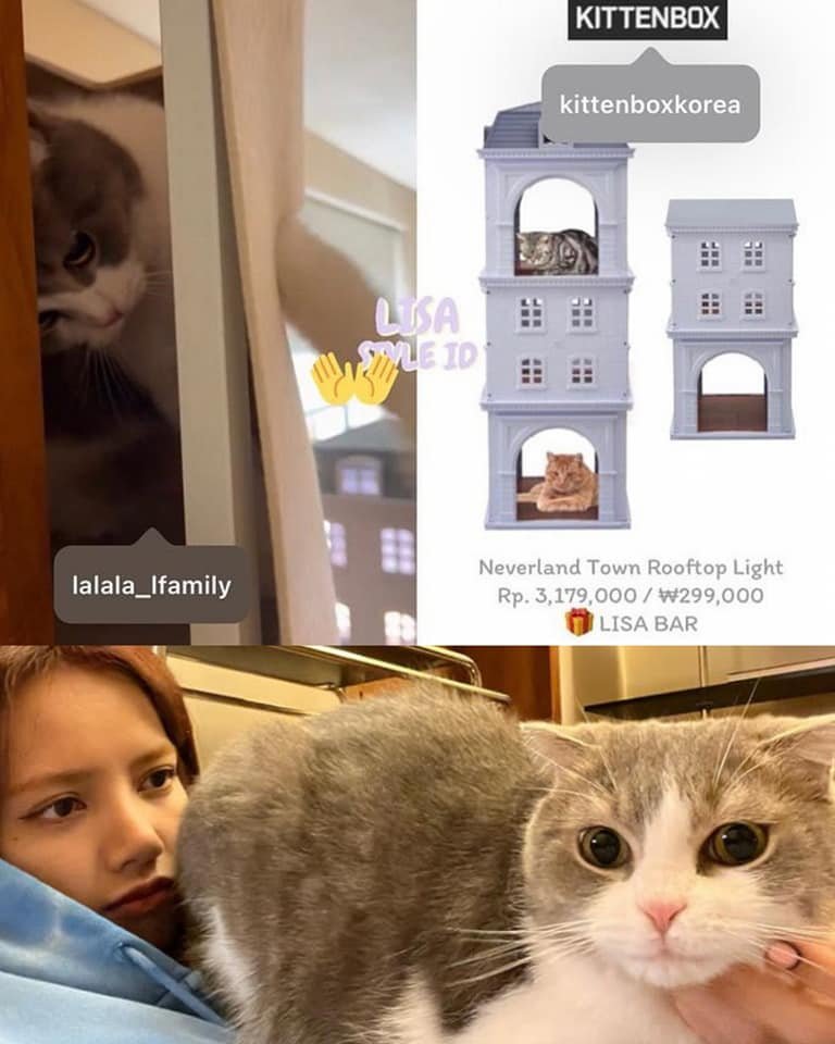 ngochavu66's tweet photo. LEO used the toy castle that LisaBar gave him #LISA #LALISA #LEO #LisaBar https://t.co/zxA87VWaZR