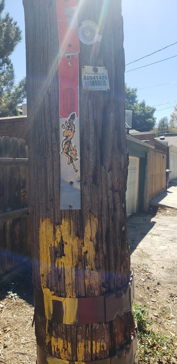 kiltedcoyote's tweet photo. I went Yote spotting again today and took a friend. She immediately fell in love with @TokkTrash's raccoon. Hunting for graffiti is a my ❤ #yipyapyop #animalartcrimes #furryart https://t.co/RJDrgcFQyW