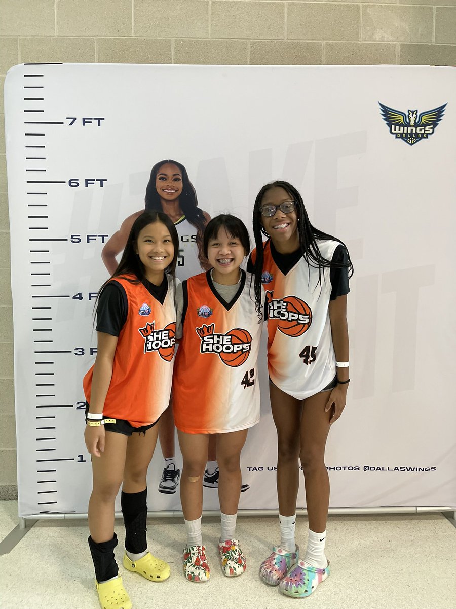 alaina ngo tweet media
