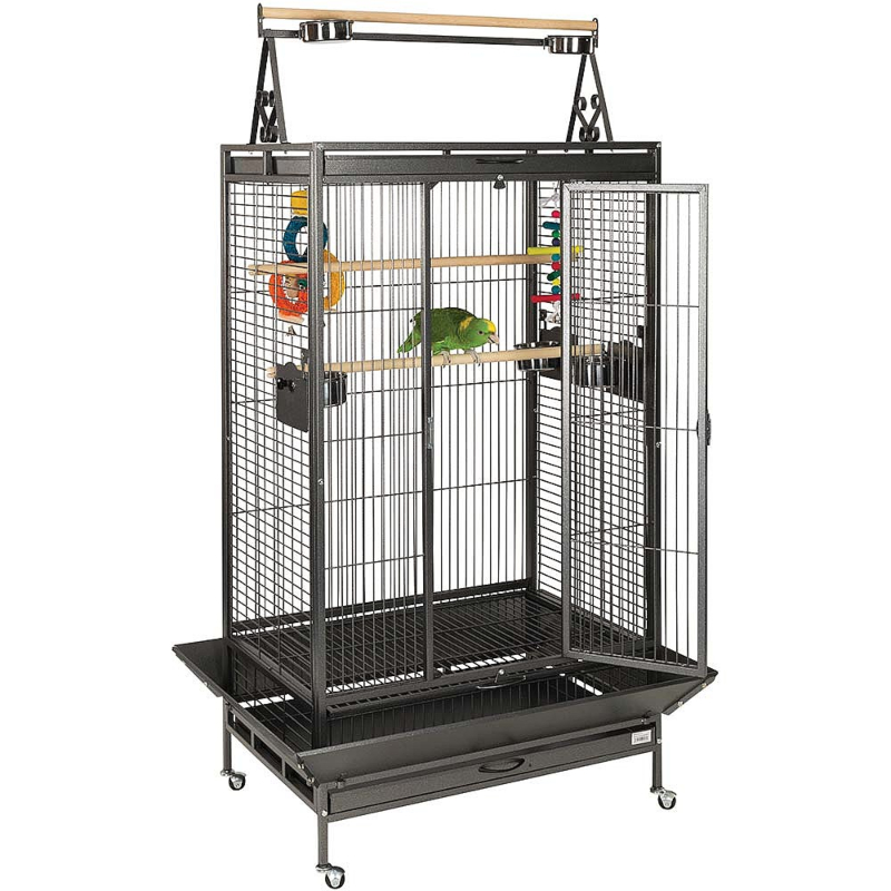 caesar parrot cage