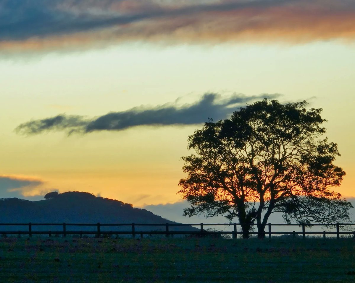 sdnpa's tweet image. Today is National #GetOutsideDay!
⠀⠀
Whether you're hiking, running, biking, kayaking or swimming, head outside and tell @OSleisure what you’re getting up to!

📷 Caroline Rix
📍 Sunset behind Chanctonbury Ring

#SouthDowns #GetOutside