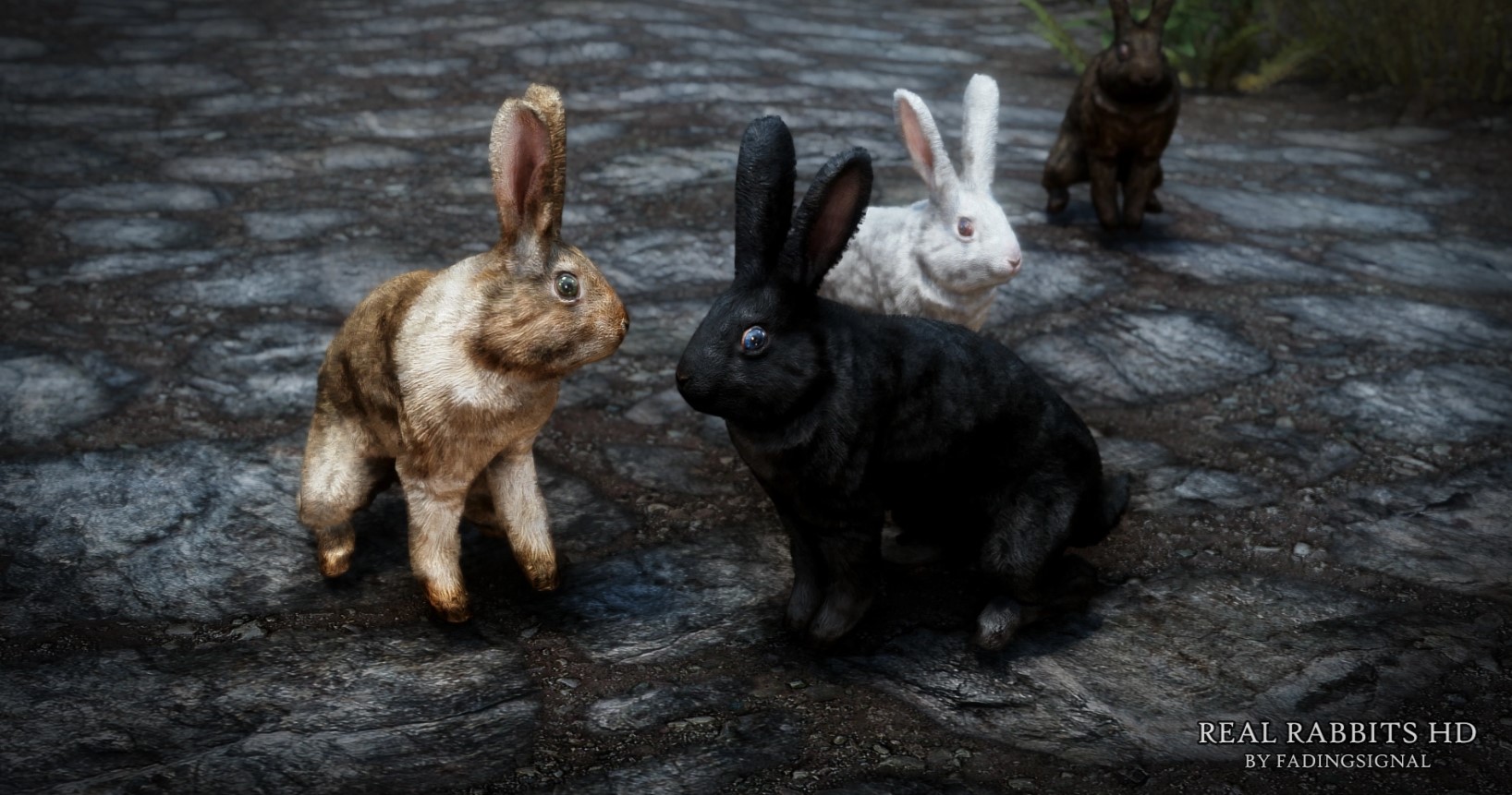 Nexus Mods on Twitter: 