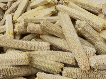 KIQuestNg's tweet photo. Maize cobs can effectively replace your Crude Fibre source in livestocks feed, especially in #rabbits meal. Nothing goes to waste in #agribusiness. Reduce your livestocks feed cost. #sustainable @Nig_Farmer @sarnchos https://t.co/youwgWq2Hk
