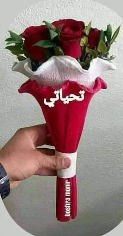 حبيبتى  اشتقت اليك