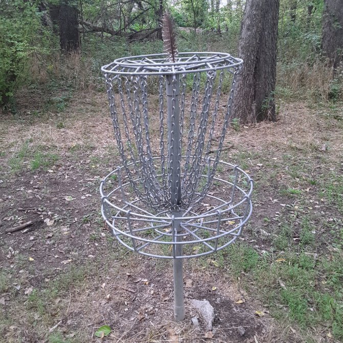 EmNMeisinger's tweet photo. Thank you to everyone for all the thoughtful birthday texts, messages, &amp; well wishes! Filled with: loving pets, free coffee drinks, good eats, special treats, &amp; fun with friends, I certainly had a happy one 🥰🐾🥏🎉 #petsitting #discgolf #PhoFactory #LifeIsGood #HappyBirthdayToMe https://t.co/85PNU1Yuyi