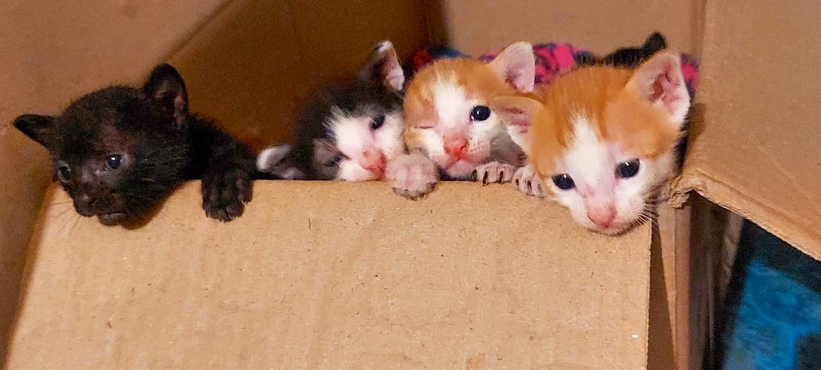 🖤 ishafire 🖤 tweet media