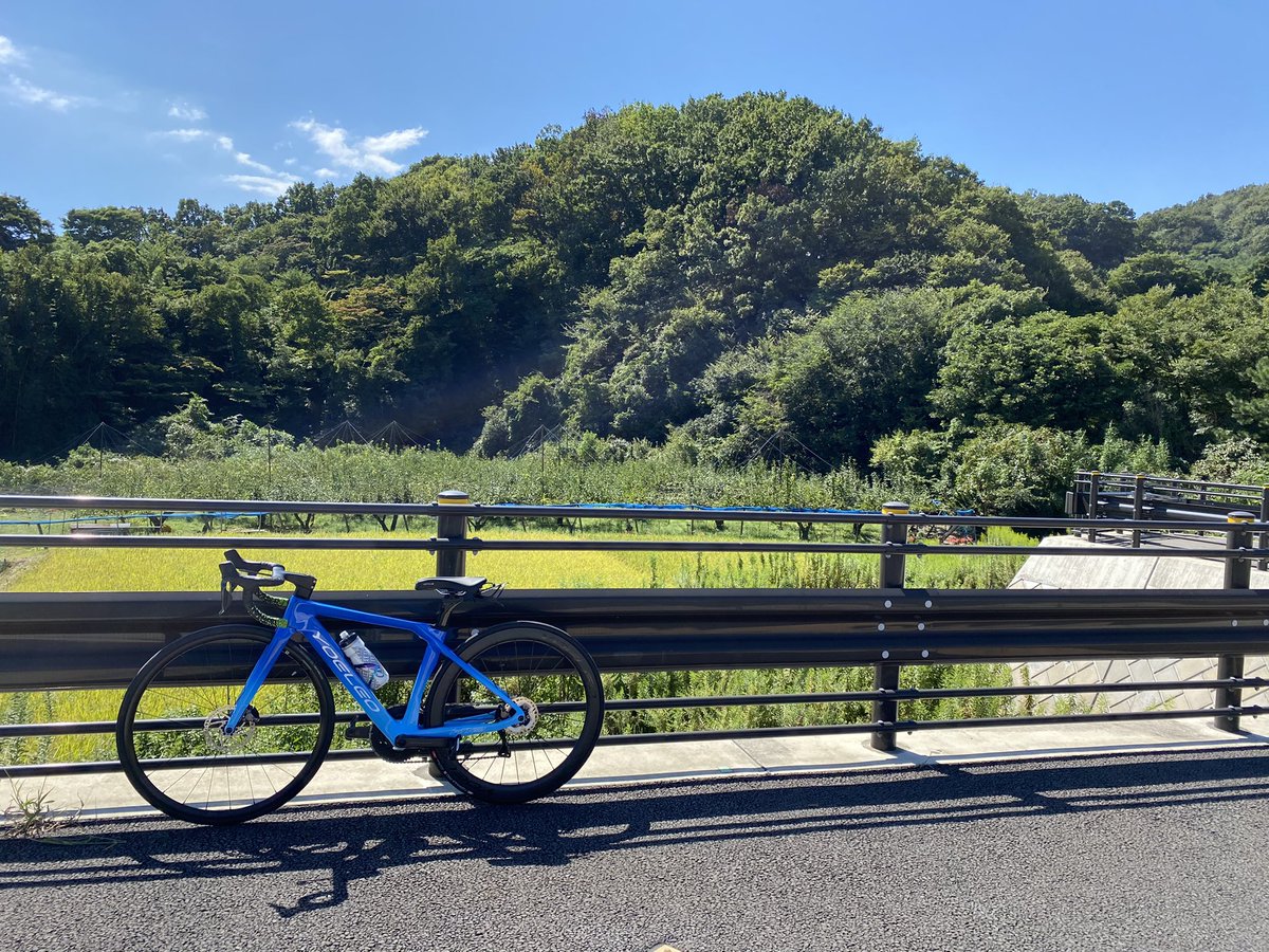 Apqqn's tweet photo. 🎊納車😻
yeoleo 納車しました！！！
写真で見ると青が濃いですが、実物だともうちょっと薄いです
まだ全然乗れてないので沢山乗っていきたいです！！強くなるぞー！！
@YoeleoJ #ロードバイク https://t.co/cARIEi9Ha2